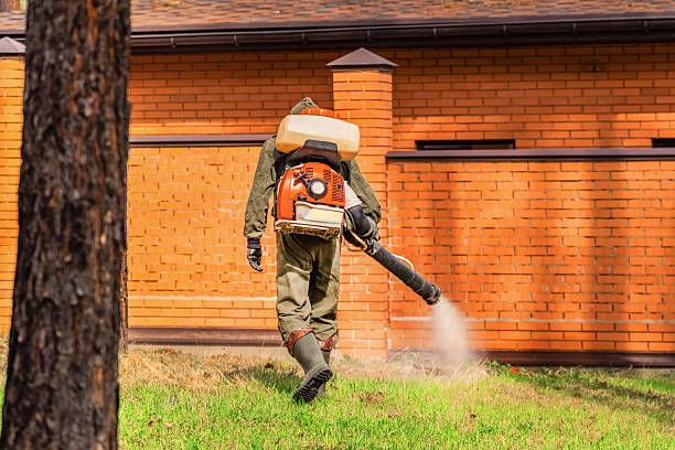 Trusted Rodent Control service in Tusculum, TN - Nex Pest Control